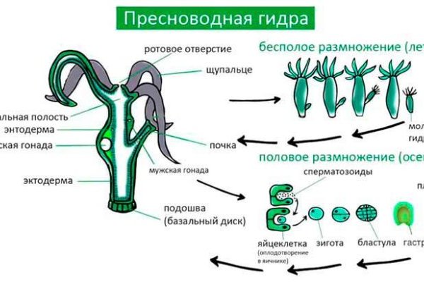 Все доступные по ссылке награды в bs